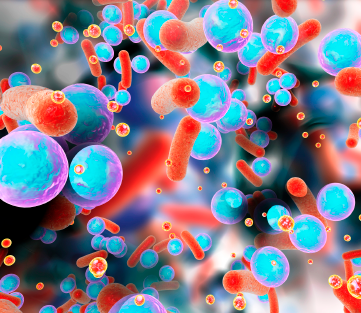 Biofilm