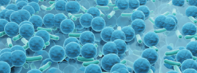 Biofilm