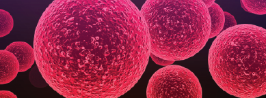 Wound Infection